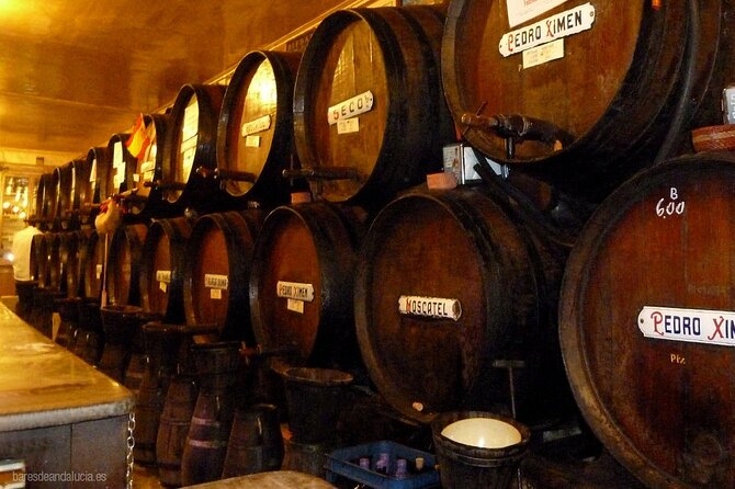 PREMIUM TAPAS TOUR: Tapas, Paella and Winery - A food-first introduction to Málaga
