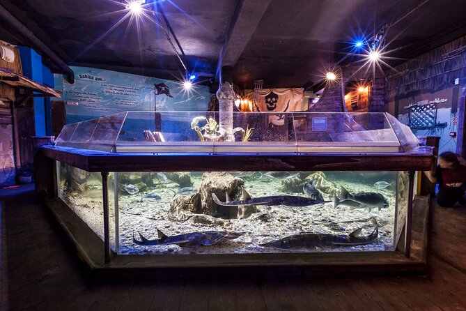 Premium Ticket Sea Life Benalmádena - Key points to know before you go