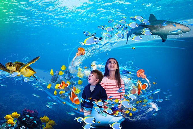 Premium Ticket Sea Life Benalmádena - Who should buy the Premium Ticket