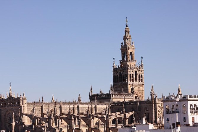 Private 12-Hour Tour to Sevilla from Malaga with Hotel pick up - Seville Cathedral: one hour beneath a vast Gothic roof