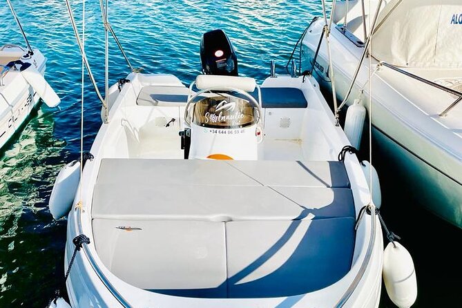 Private boat rental without title dolphin watching - How the price works for a private outing