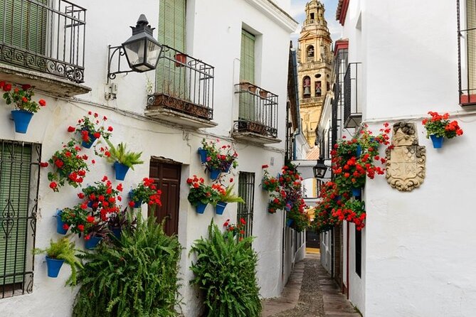 Private Cordoba & Seville Tour with a Finale Horse Carriage Ride - Seville by horse-drawn carriage