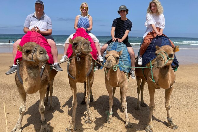 Private Day Tour in Gibraltar and Tangier, Morocco from Malaga - Why this trip covers so much ground