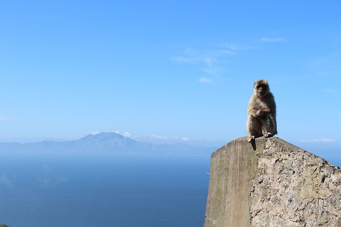 Private Day Tour in Gibraltar and Tangier, Morocco from Malaga - Moroccan food, camels, and Cape Spartel
