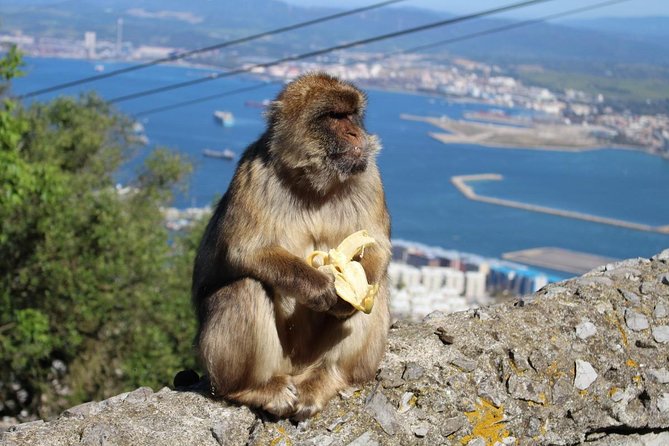Private Day Trip to Gibraltar from Malaga or Marbella - The Great Siege Tunnels and Gibraltar’s Military Past