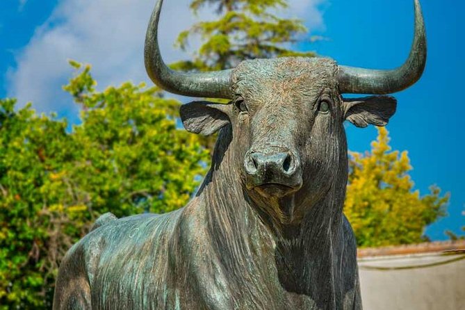 Private Day Trip to Ronda from Malaga with Driver-Guide - The Plaza de Toros and Ronda’s bullfighting story