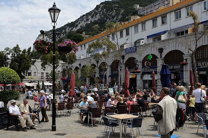 Private exclusive tours from Malaga and Marbella to Gibraltar - Up the Rock to the best viewpoints