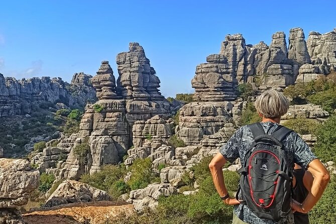 Private Guided Tour to Torcal de Antequera - Why El Torcal feels unlike anywhere near Málaga
