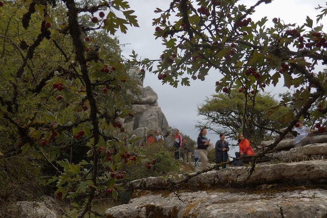 Private Guided Tour to Torcal de Antequera - Price, group size, and practical value