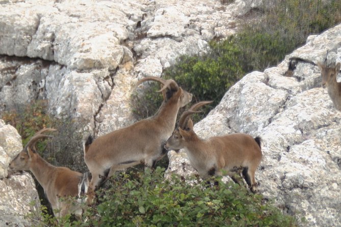Private Guided Tour to Torcal de Antequera - What the three-hour route is like