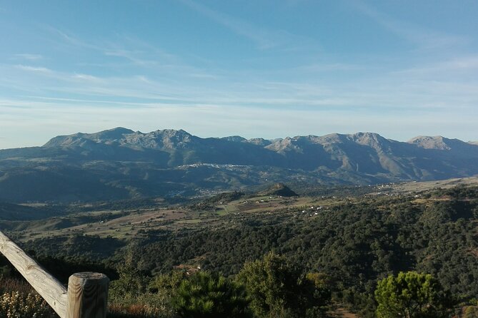 Private half-day tour of Ronda and the White Villages with native - What the $768.90 price really covers