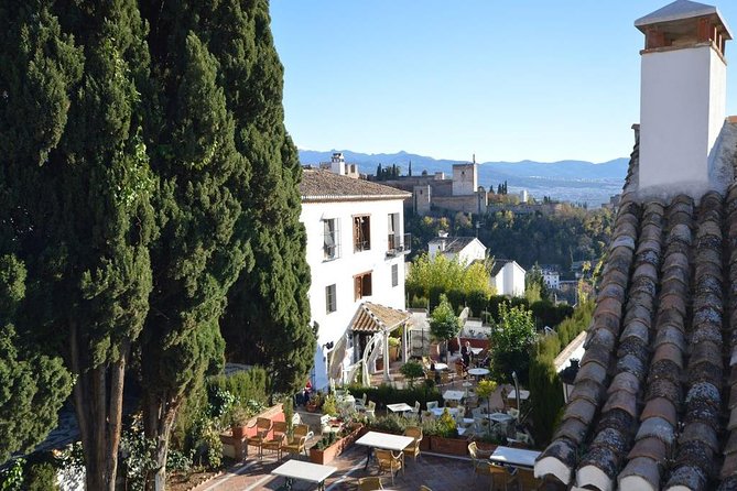 Private tour from Malaga to the Alhambra Palace and Granada - What makes the named guides valuable