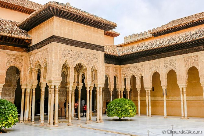 Private tour from Malaga to the Alhambra Palace and Granada - Free time in Granada after the palace