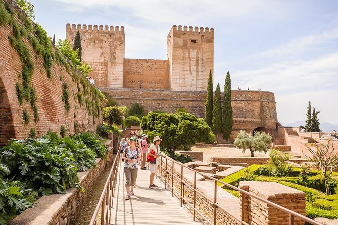 Private tour from Malaga to the Alhambra Palace and Granada - Who should choose this private day trip?