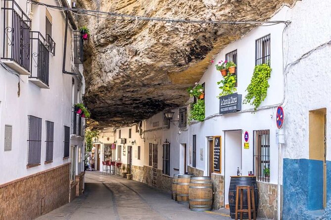 Private Tour of Ronda and Setenil de Las Bodegas - Timing, comfort, and cruise-port practicality