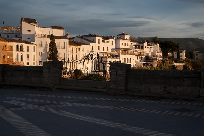 Private visit to Ronda 2 hours - The Salvatierra Palace and architectural detail