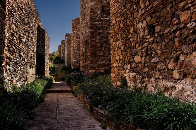 Private Walking Tour in Málaga - What the private guide adds