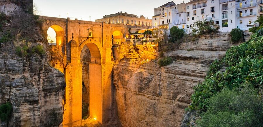 Private Winery Tour and Visit to Ronda - Walking the vineyards and learning about old grape varieties