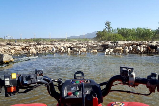 Quad Bikes for Guided Tours. - Learning the controls before the real ride