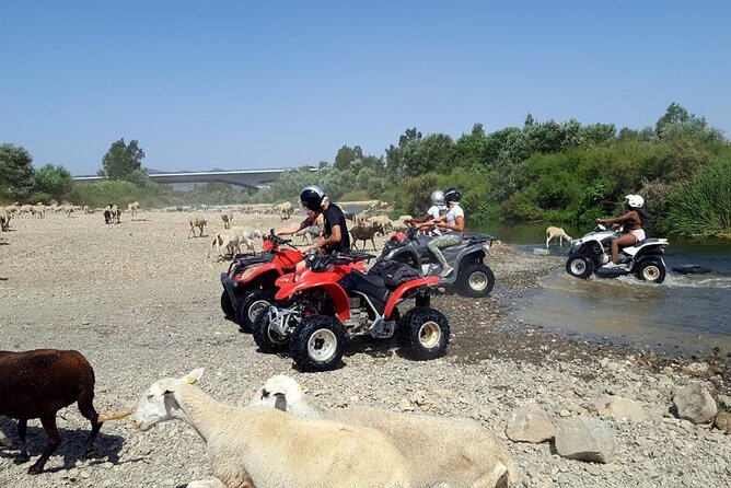 Quad Bikes for Guided Tours. - From straight paths to dirt tracks