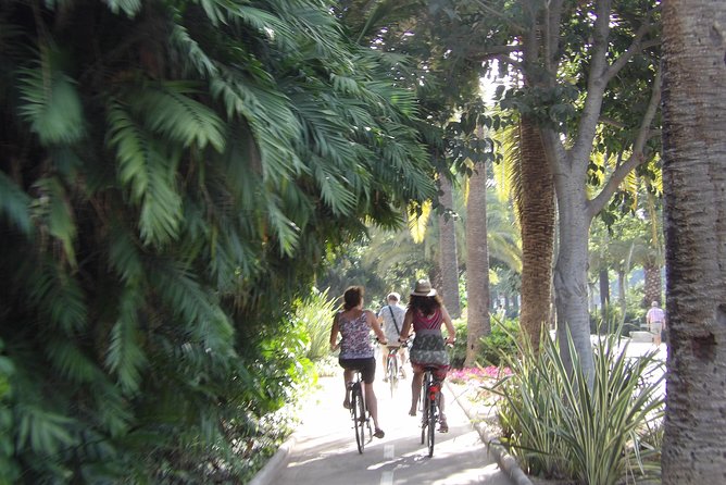 Rent a City Bike: Full Day 24 hours - A self-guided route through Málaga’s historic center