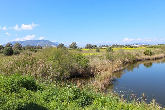 Rent a Trekking bike: Full Day 24 hours - The Guadalhorce estuary is the quiet payoff