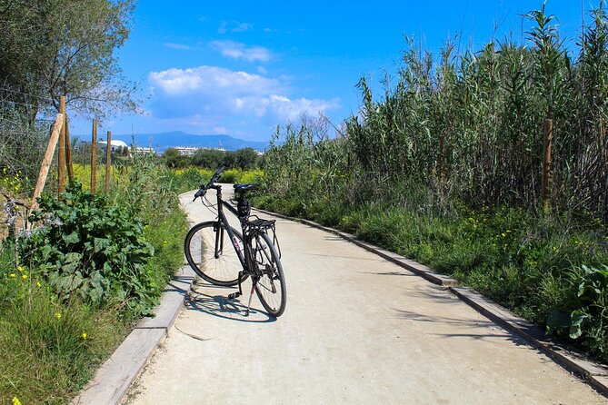 Rent a Trekking bike: Full Day 24 hours - What the equipment and pace mean for you