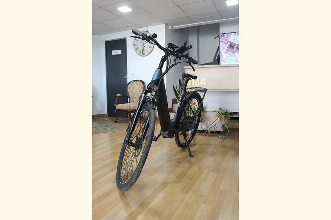 rent E-Bikes for a Day - A full day on two quiet electric wheels