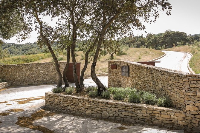 Ronda Private Full Day Wine Tour - What the private guide adds