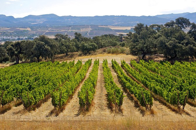 Ronda Private Full Day Wine Tour - Is $421.44 per person a fair price?