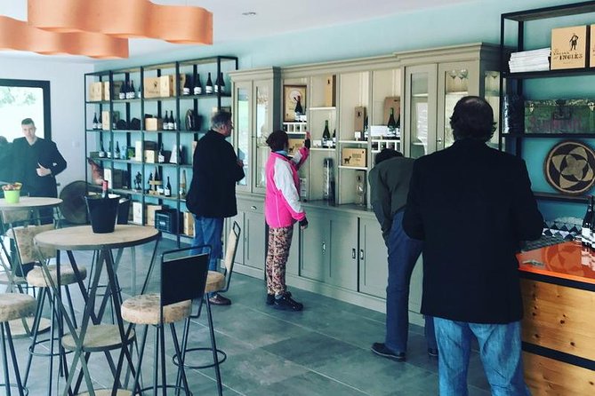 Ronda Private Full Day Wine Tour - Should you book the Ronda private wine tour?