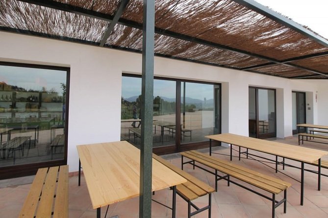Ronda Private Wine Tour + Free Time in Ronda - What two hours in Ronda can realistically cover
