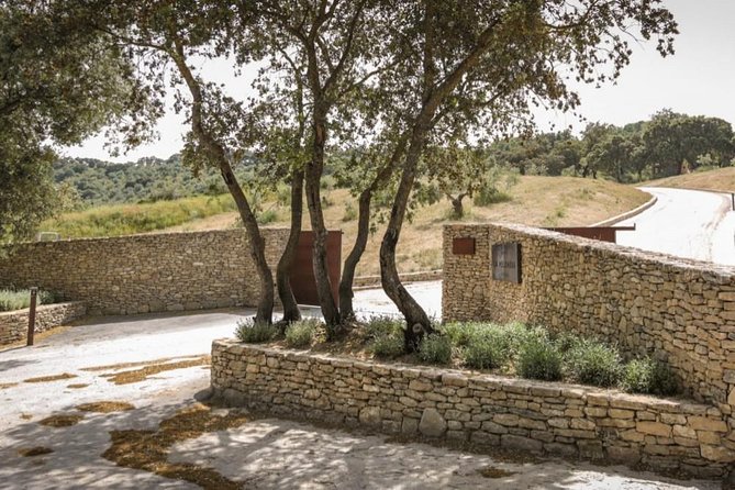 Ronda Private Wine Tour + Free Time in Ronda - The price and what it buys you