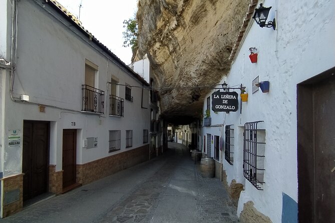 Ronda & Setenil de las Bodegas, land of contrasts / Semi-Private - Setenil de las Bodegas beneath the rock