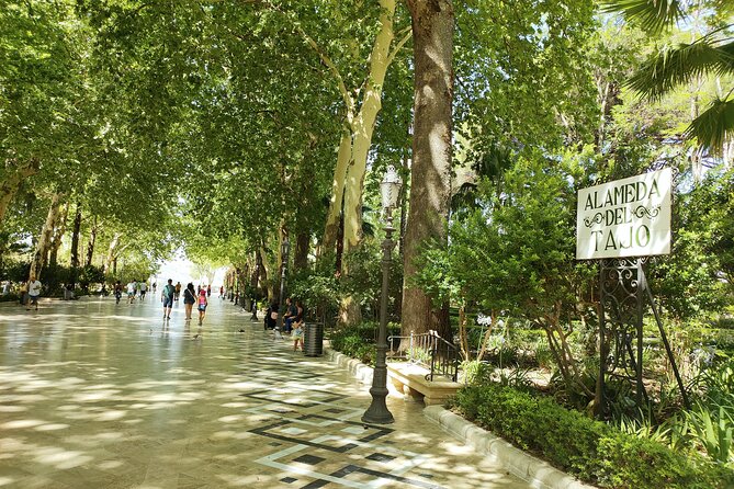 Ronda, the dreamt city: Private Walking Tour - Puente Nuevo and the Tajo gorge