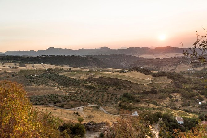 Ronda Village Guided Tour from Costa del Sol - What the $81.70 price delivers
