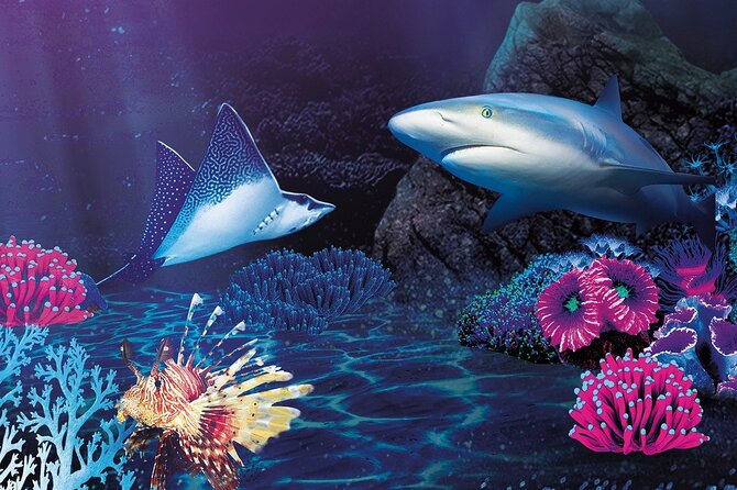 Sealife Benalmadena Entrance Ticket - What children get from the visit
