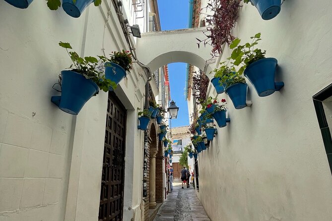 Semi Private Tour to Córdoba from Nerja - Walking Through La Judería