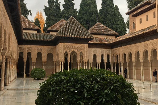 Semi Private Tour to the Alhambra from Nerja - What the $211.19 price includes