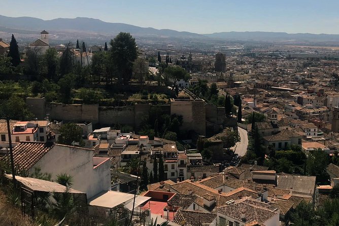 Semi Private Tour to the Alhambra from Nerja - The small group is the real advantage