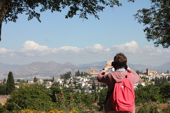 Semi Private Tour to the Alhambra from Nerja - Who should book this Alhambra tour