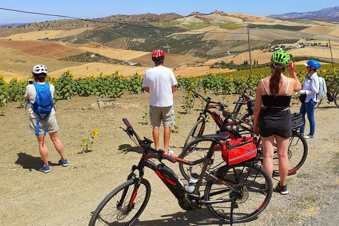 Sensational Setenil by e-bike (full day) - Riding from Ronda toward Setenil