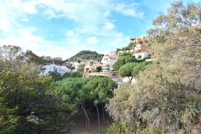 Spanish Civil War Private Walking Tour in Malaga - Timing, fitness, and practical planning