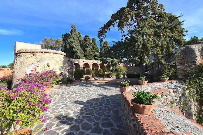 Spanish Civil War Private Walking Tour in Malaga - Who should book this walk