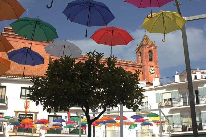 Sun and Wine Route - Small group, wine tasting and tapas included - Four wines with tapas, not wine alone