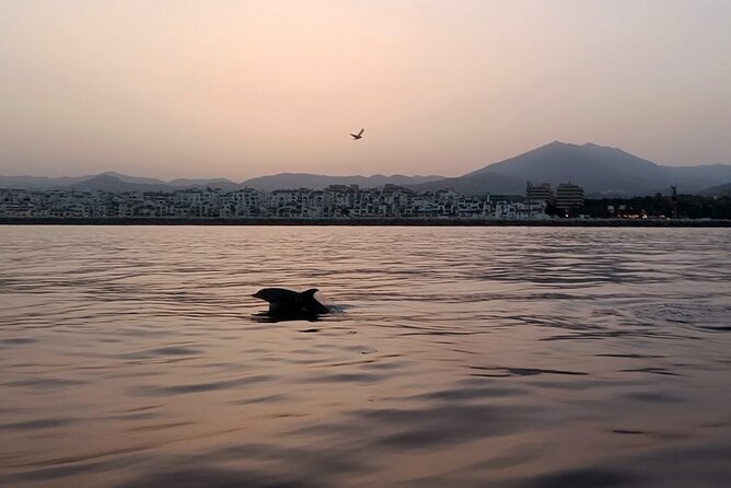 Sunset on Private Sailing boat Puerto Banus Marbella (10 pax) - Sailing along Marbella’s Golden Mile