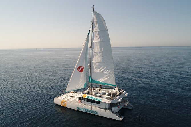 Sunset or night catamaran tour from Malaga - Who will enjoy this boat trip most