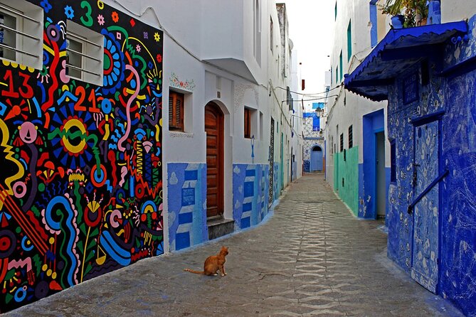 Tangier & Asilah Private Tour with from Malaga or Marbella - Tangier’s medina is best taken at walking pace