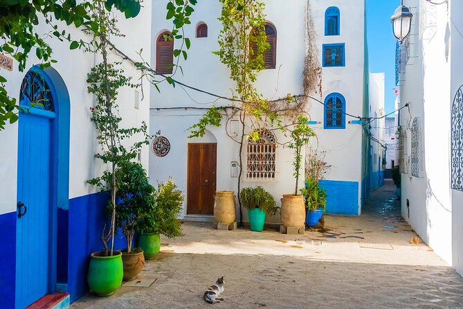Tangier & Asilah Private Tour with from Malaga or Marbella - What the private format changes