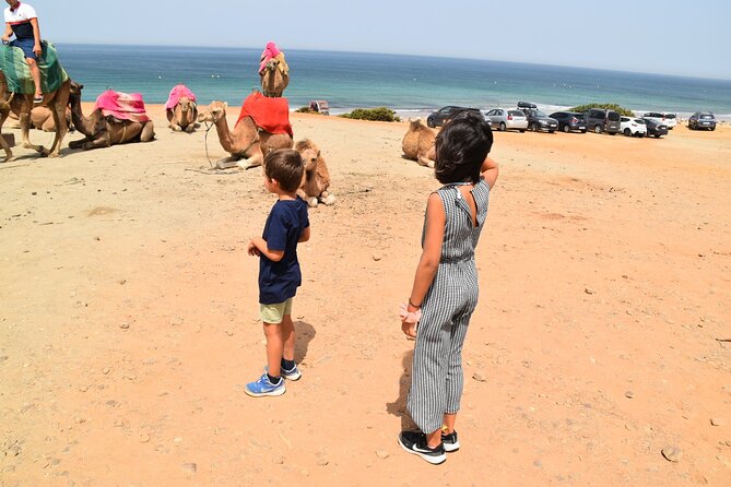 Tangier Private Tour from Malaga or Marbella w/ guide and driver - Caves of Hercules and Cap Spartel